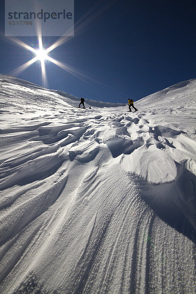 Windganglien  Schneeformation am Aufstieg zum Grubenkopf in den Brenner Bergen  Tirol  Österreich  Europa