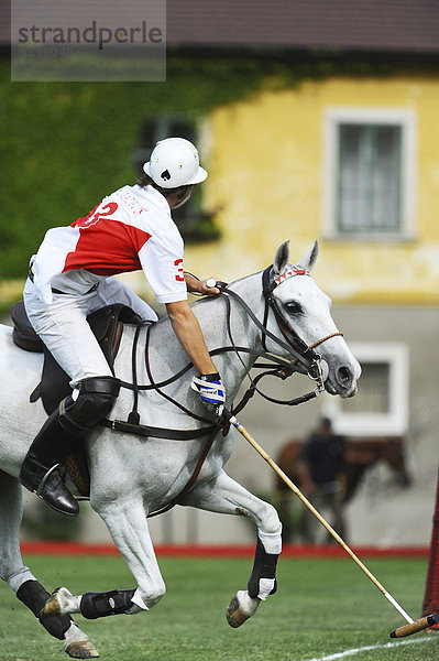Ein Polo-Spieler in vollem Galopp  Ebreichsdorf  Niederösterreich  Österreich  Europa