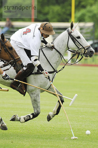 Zwei Polospieler kämpfen um den Ball  Ebreichsdorf  Niederösterreich  Österreich  Europa