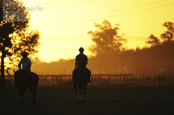 Zwei Polo-Spieler reiten im Sonnenuntergang  Pilar  Argentinien  Südamerika