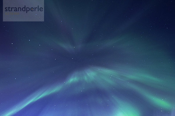 Aurora Borealis  Corona  Lofoten  Norwegen  Europa