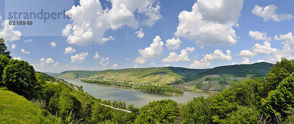 Lorcher Werth im Rhein  Unesco Weltkulturerbe Oberes Mittelrheintal  Hessen  Rheinland-Pfalz  Deutschland  Europa