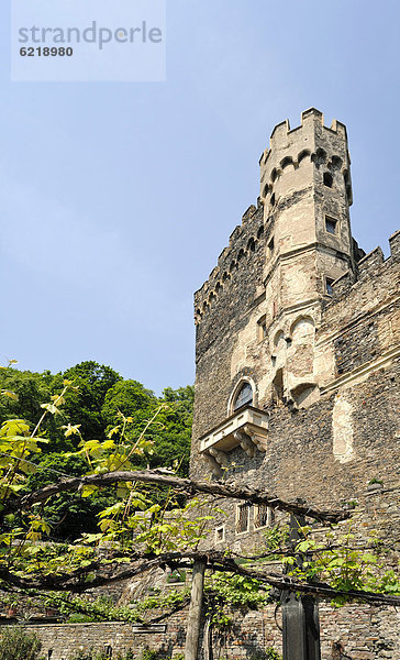 Burg Rheinstein  Trechtingshausen  Unesco Weltkulturerbe Oberes Mittelrheintal  Rheinland-Pfalz  Deutschland  Europa
