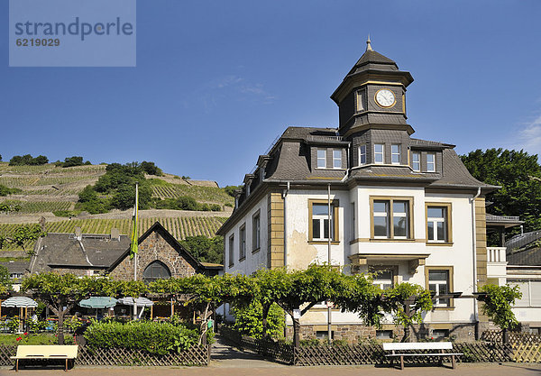 Weingut C. TH. Bauer  Assmannshausen  Unesco Weltkulturerbe Oberes Mittelrheintal  Rheinland-Pfalz  Deutschland  Europa