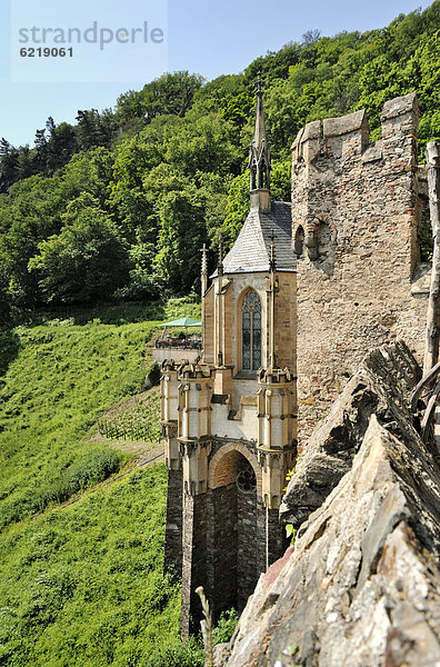 Burg Rheinstein  Trechtingshausen  Unesco Weltkulturerbe Oberes Mittelrheintal  Rheinland-Pfalz  Deutschland  Europa
