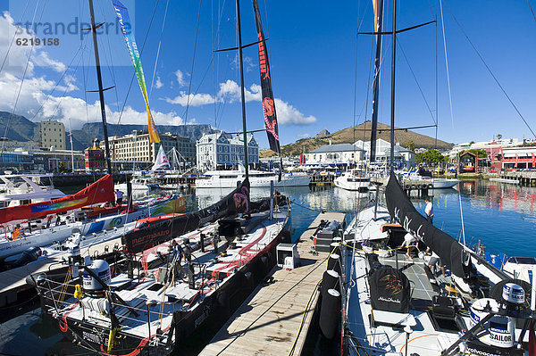 Volvo Ocean Race Crews an der V&A Waterfront vor der Regatta nach Abu Dhabi  Kapstadt  Südafrika  Afrika