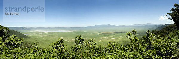 Panorama  Ngorongoro-Krater  UNESCO Weltnaturerbe  Serengeti  Tansania  Afrika