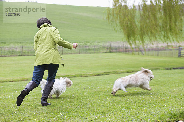 Frau spielt mit zwei Hunden auf einem Feld