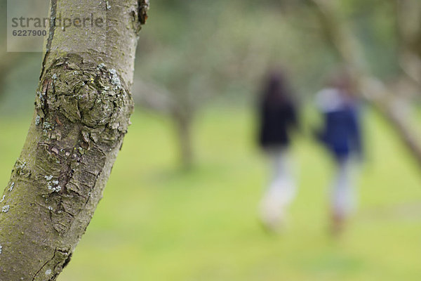 Nahaufnahme eines Baumstammes mit einer Frau und ihrer Tochter  die im Hintergrund in einem Obstgarten spazieren gehen.