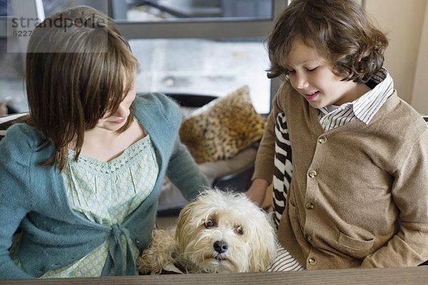 Junge und seine Schwester spielen mit einem Hund