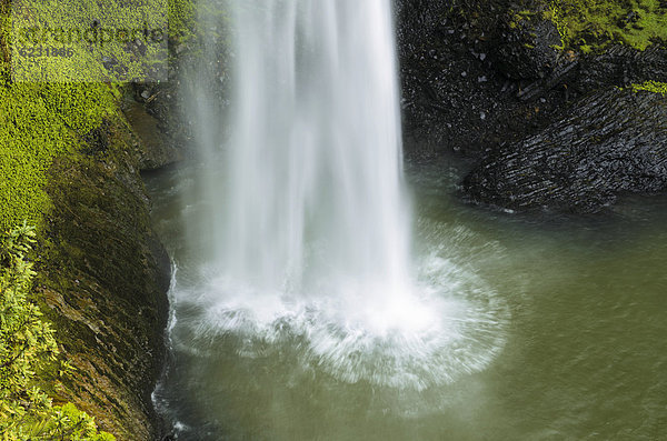 Wasserschwall stürzt in See  Bridal Veil Falls  Raglan  Waikato  Nordinsel  Neuseeland