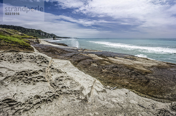 Kalksteinformationen und Blowhole  Truman Bay  Westküste  Südinsel Neuseeland  Ozeanien