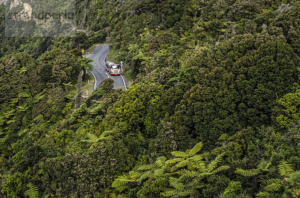 LKW auf Landstraße in dichtem Regenwald  Paparoa Nationalpark  Punakaiki  Südinsel  Neuseeland  Ozeanien