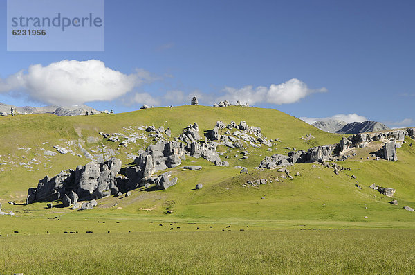 Felsformationen aus Kalkstein am Castle Hill  Südinsel  Neuseeland  Ozeanien