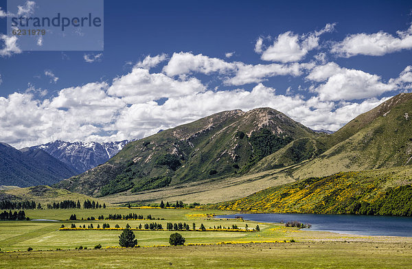 Berge und Weideland  Craigieburn Range  Porters Pass  Canterbury  Südinsel  Neuseeland  Ozeanien