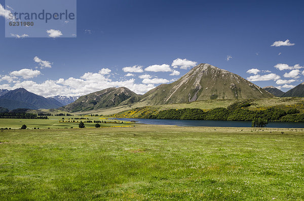 Berge und Weideland  Craigieburn Range  Porters Pass  Canterbury  Südinsel  Neuseeland  Ozeanien