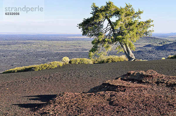 Blick vom Gipfelplateau des Inferno Cone  Craters of the Moon National Monument  Arco  Highway 20  Idaho  USA