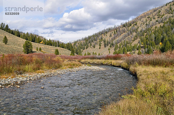 Warm Springs Creek  flussabwärts  Ketchum  Idaho  USA