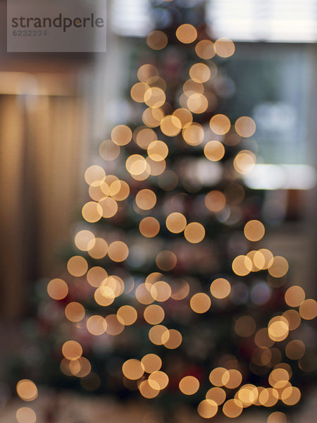 Illuminierter Weihnachtsbaum  Unschärfe