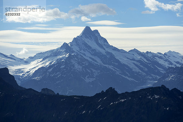 Sicht vom Niederhorn auf das Schreckhorn  Beatenberg  Berner Oberland  Schweiz  Europa