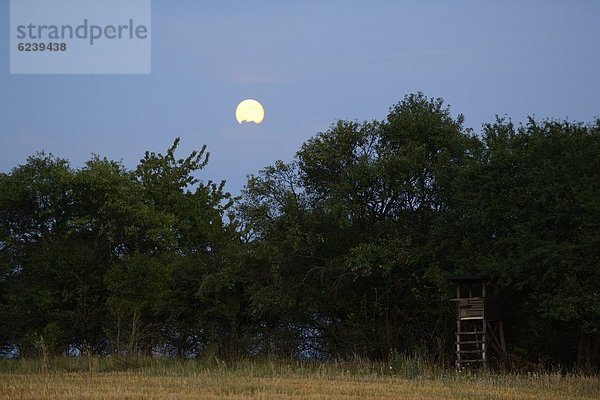 Mond über Landschaft mit Hochsitz  Bayern  Deutschland