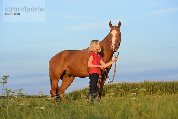 Mädchen mit Pferd auf einer Wiese