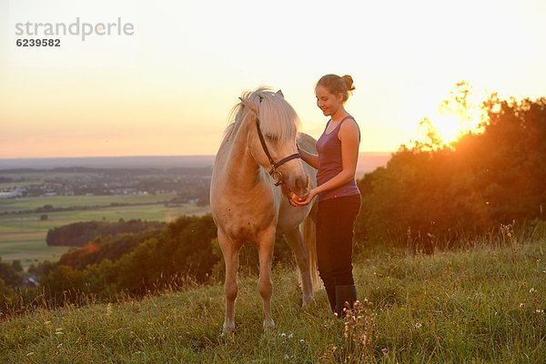 Mädchen mit Pferd auf einer Wiese bei Sonnenuntergang