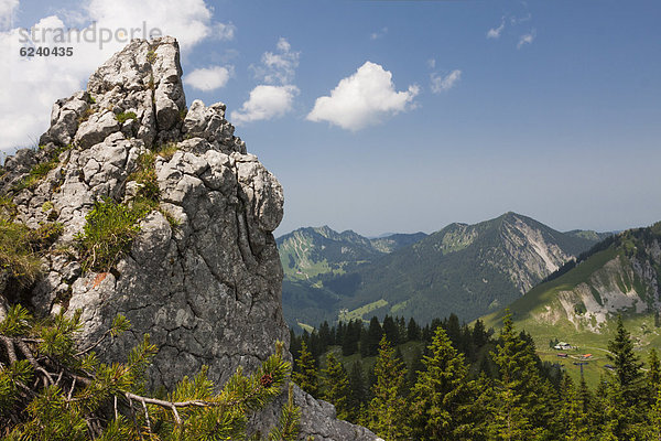 Taubenstein bei Spitzingsee  Alpen  Mangfallgebirge  Bayern  Deutschland  Europa