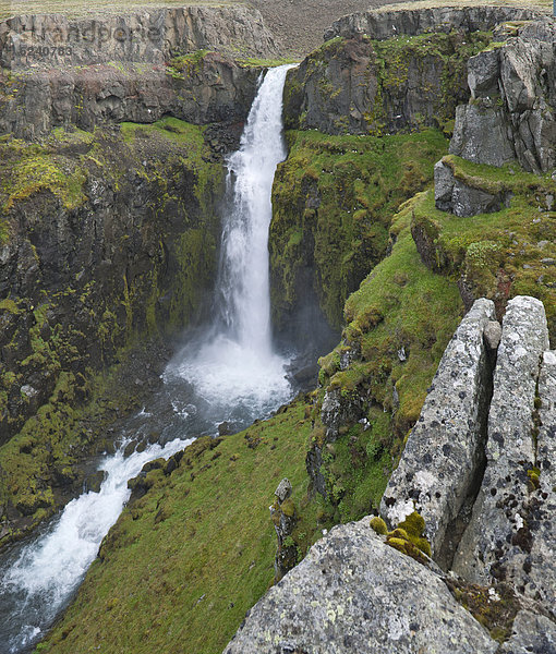 Wasserfall  Nordküste  Island  Europa