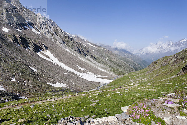 Meraner Höhenweg  Aufstieg zur Hohen Wilden  Pfossental  Schnalstal  Südtirol  Italien  Europa