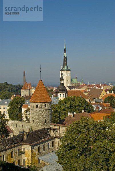 Tallinn  Hauptstadt  Europa  über  Stadt  Ansicht  UNESCO-Welterbe  Estland  alt