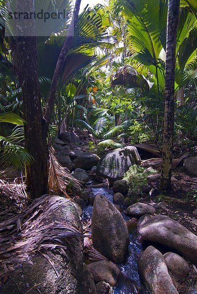 Felsbrocken  Schönheit  Regenwald  UNESCO-Welterbe  Afrika  Seychellen  Valle