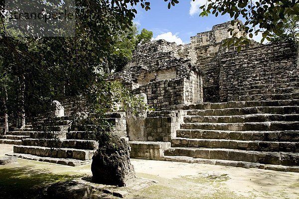 Tropisch  Tropen  subtropisch  Nordamerika  Mexiko  UNESCO-Welterbe  Campeche