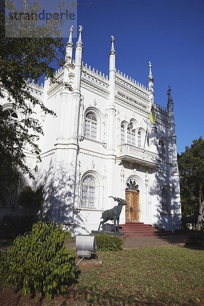 Maputo  Hauptstadt  Afrika  Mosambik  Naturkundemuseum