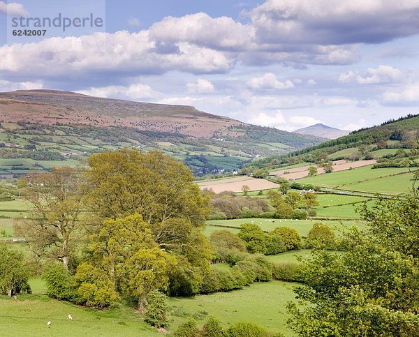 nahe  rollen  Europa  Berg  Ländliches Motiv  ländliche Motive  Großbritannien  Brotlaib  Zucker  Ansicht  Brecon Beacons National Park  Powys  Wales