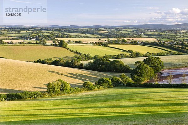 nahe  rollen  Europa  sehen  Ländliches Motiv  ländliche Motive  Großbritannien  Hügel  Dorf  Unterricht  Devon  England