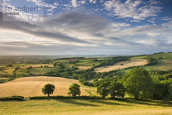 Europa  Großbritannien  Devon  England