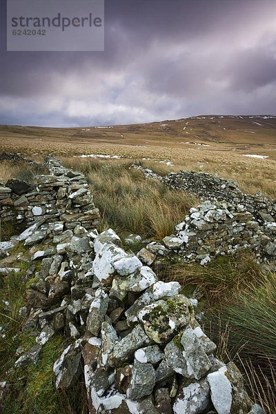 Steinmauer  Europa  Winter  Großbritannien  über  Tal  trocken  Vernichtung  Brecon Beacons National Park  Powys  Wales