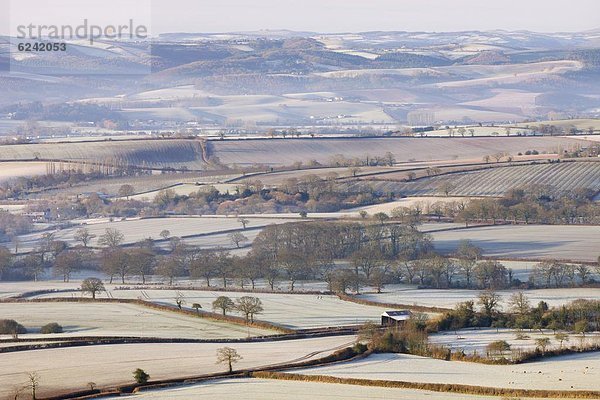 nahe  Europa  Winter  bedecken  Ländliches Motiv  ländliche Motive  Großbritannien  Devon  England  Frost