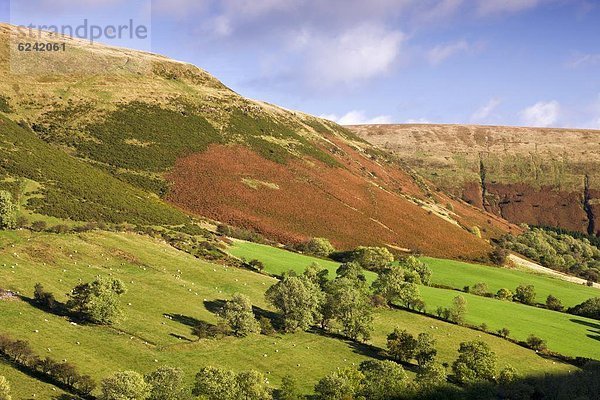 Europa  Großbritannien  Brecon Beacons National Park  Deich  Wales