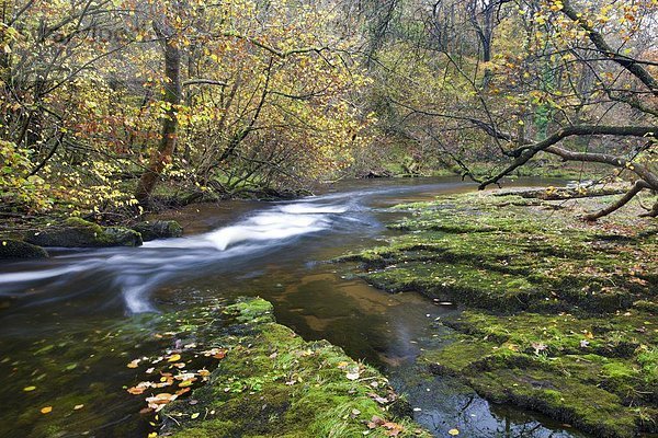 nahe  Landschaftlich schön  landschaftlich reizvoll  Europa  Großbritannien  Fluss  Herbst  Brecon Beacons National Park  Powys  Wales