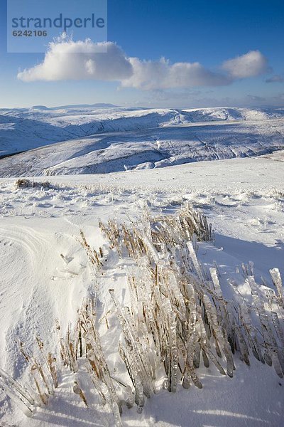 Stift  Stifte  Schreibstift  Schreibstifte  Europa  Schnee  Berg  bedecken  Großbritannien  Leuchtturm  Gras  gefroren  Powys  Wales