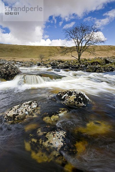 Europa  Großbritannien  fließen  Fluss  Devon  England