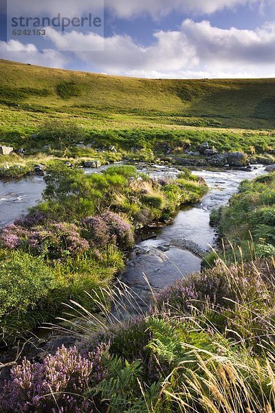 Europa  Großbritannien  rennen  Fluss  Devon  England