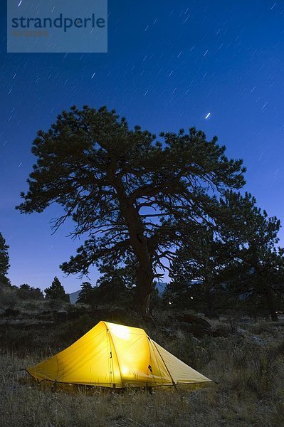 Vereinigte Staaten von Amerika  USA  beleuchtet  Nacht  Himmel  unterhalb  Zelt  Nordamerika  Colorado