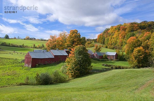 Vereinigte Staaten von Amerika  USA  Bauernhof  Hof  Höfe  Herbst  Nordamerika  rot  Neuengland  umgeben  Scheune  Laub  Vermont