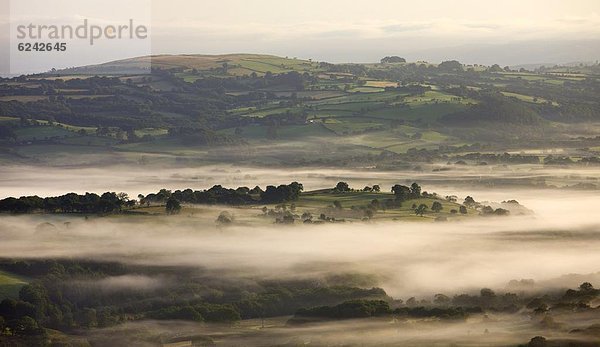 nahe  rollen  Europa  Morgen  Großbritannien  über  Dunst  hängen  Agrarland  früh  Brecon Beacons National Park  Wales