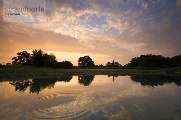 Europa  Großbritannien  Morgendämmerung  Spiegelung  Kathedrale  England  Teich  Salisbury  Wiltshire