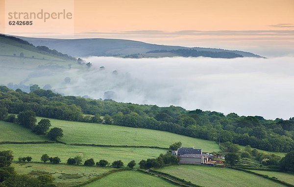 Europa Großbritannien Einsamkeit Dunst Bauernhof Hof Höfe Tal Morgendämmerung Brecon Beacons National Park Powys Hang Wales