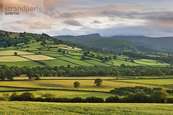 rollen  Stift  Stifte  Schreibstift  Schreibstifte  Europa  Berg  Sommer  Großbritannien  Agrarland  Tal  Rückansicht  Brecon Beacons National Park  Powys  Wales